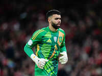 David Raya of Spain  looks on during the Nations League Round 5 match between Denmark against Spain at Parken, Copenhagen, Denmark on Novemb...