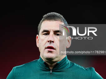 Rade Obrenovic, Referee from Slovenia,  looks on during the Nations League Round 5 match between Denmark against Spain at Parken, Copenhagen...