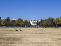 View of the White House in Washington DC after the US presidential elections and the win of Donald Trump and the Republican Party during a b...