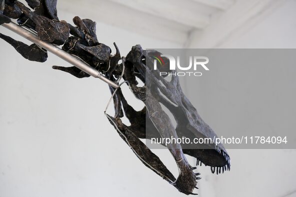 The largest dinosaur skeleton ever auctioned in France, measuring 22 meters long, sells on November 16, 2024, in the Paris region, for more...