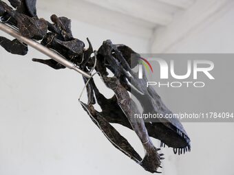 The largest dinosaur skeleton ever auctioned in France, measuring 22 meters long, sells on November 16, 2024, in the Paris region, for more...