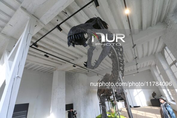 The largest dinosaur skeleton ever auctioned in France, measuring 22 meters long, sells on November 16, 2024, in the Paris region, for more...