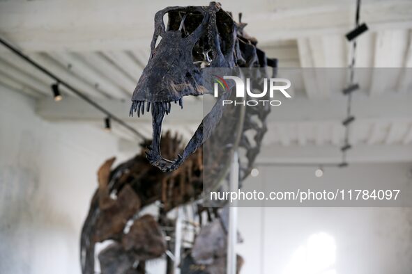 The largest dinosaur skeleton ever auctioned in France, measuring 22 meters long, sells on November 16, 2024, in the Paris region, for more...