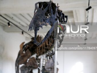 The largest dinosaur skeleton ever auctioned in France, measuring 22 meters long, sells on November 16, 2024, in the Paris region, for more...