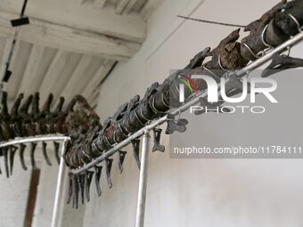 The largest dinosaur skeleton ever auctioned in France, measuring 22 meters long, sells on November 16, 2024, in the Paris region, for more...