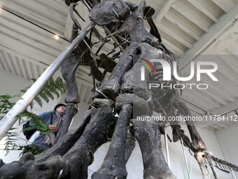 The largest dinosaur skeleton ever auctioned in France, measuring 22 meters long, sells on November 16, 2024, in the Paris region, for more...