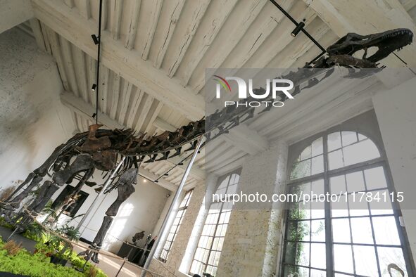 The largest dinosaur skeleton ever auctioned in France, measuring 22 meters long, sells on November 16, 2024, in the Paris region, for more...