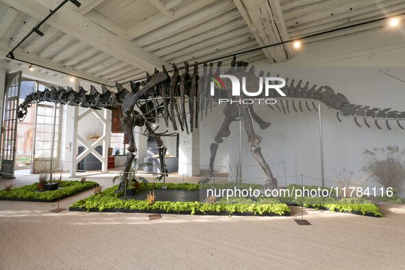 The largest dinosaur skeleton ever auctioned in France, measuring 22 meters long, sells on November 16, 2024, in the Paris region, for more...