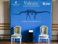 The largest dinosaur skeleton ever auctioned in France, measuring 22 meters long, sells on November 16, 2024, in the Paris region, for more...