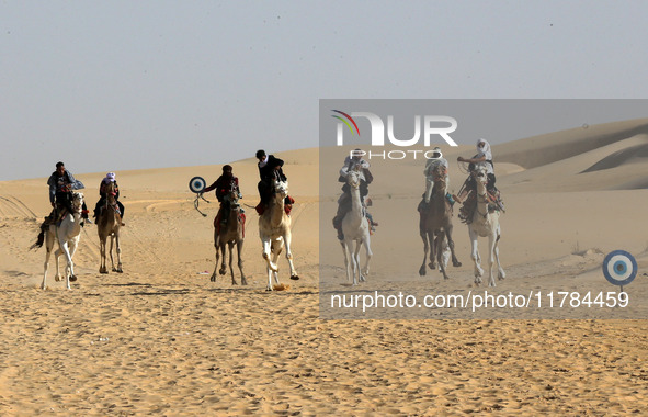 The photo, taken in Oued Souf, Algeria, on November 16, 2024, shows the Camel Festival during the 6th International Festival of Saharan Tour...