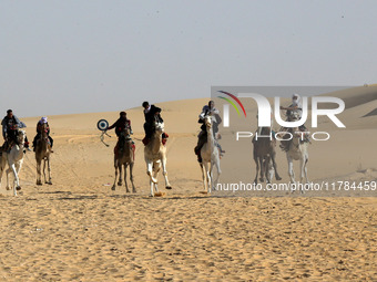 The photo, taken in Oued Souf, Algeria, on November 16, 2024, shows the Camel Festival during the 6th International Festival of Saharan Tour...