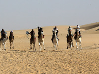 The photo, taken in Oued Souf, Algeria, on November 16, 2024, shows the Camel Festival during the 6th International Festival of Saharan Tour...