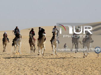 The photo, taken in Oued Souf, Algeria, on November 16, 2024, shows the Camel Festival during the 6th International Festival of Saharan Tour...