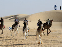 The photo, taken in Oued Souf, Algeria, on November 16, 2024, shows the Camel Festival during the 6th International Festival of Saharan Tour...