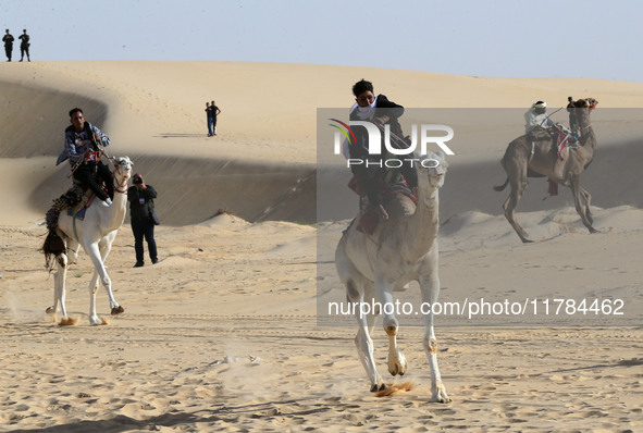 The photo, taken in Oued Souf, Algeria, on November 16, 2024, shows the Camel Festival during the 6th International Festival of Saharan Tour...