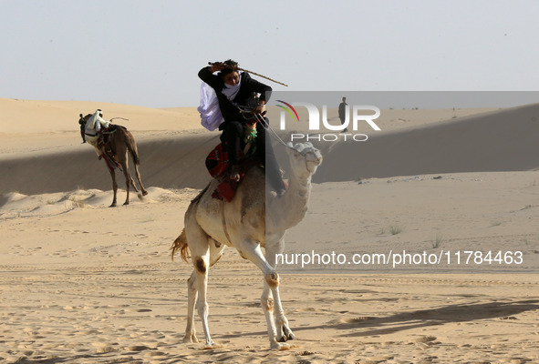 The photo, taken in Oued Souf, Algeria, on November 16, 2024, shows the Camel Festival during the 6th International Festival of Saharan Tour...