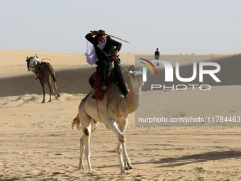 The photo, taken in Oued Souf, Algeria, on November 16, 2024, shows the Camel Festival during the 6th International Festival of Saharan Tour...