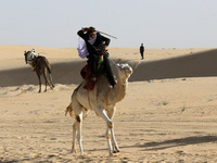 The photo, taken in Oued Souf, Algeria, on November 16, 2024, shows the Camel Festival during the 6th International Festival of Saharan Tour...