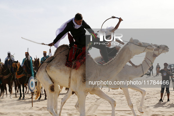 The photo, taken in Oued Souf, Algeria, on November 16, 2024, shows the Camel Festival during the 6th International Festival of Saharan Tour...