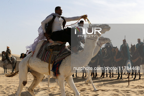 The photo, taken in Oued Souf, Algeria, on November 16, 2024, shows the Camel Festival during the 6th International Festival of Saharan Tour...