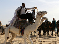 The photo, taken in Oued Souf, Algeria, on November 16, 2024, shows the Camel Festival during the 6th International Festival of Saharan Tour...