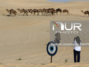 The photo, taken in Oued Souf, Algeria, on November 16, 2024, shows the Camel Festival during the 6th International Festival of Saharan Tour...