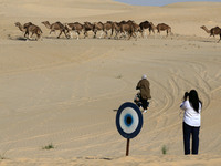 The photo, taken in Oued Souf, Algeria, on November 16, 2024, shows the Camel Festival during the 6th International Festival of Saharan Tour...