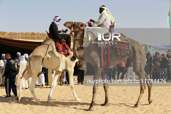 The photo, taken in Oued Souf, Algeria, on November 16, 2024, shows the Camel Festival during the 6th International Festival of Saharan Tour...