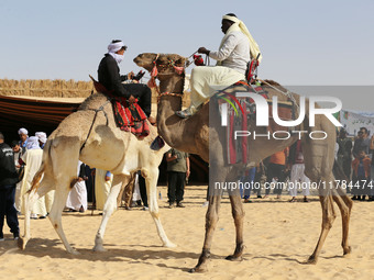 The photo, taken in Oued Souf, Algeria, on November 16, 2024, shows the Camel Festival during the 6th International Festival of Saharan Tour...