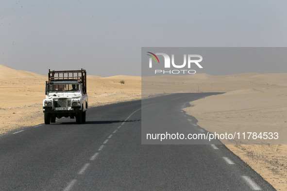 The photo, taken in Oued Souf, Algeria, on November 16, 2024, shows golden dunes during the 6th International Saharan Tourism Festival (FITS...