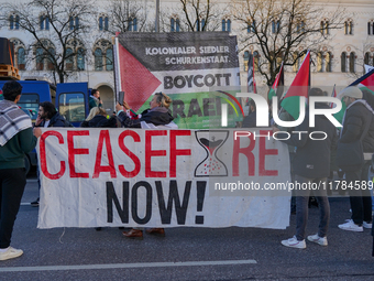 A demonstration in Munich, Germany, on November 16, 2024, includes pro-Palestinian demonstrators and pro-Israeli counter-demonstrators with...