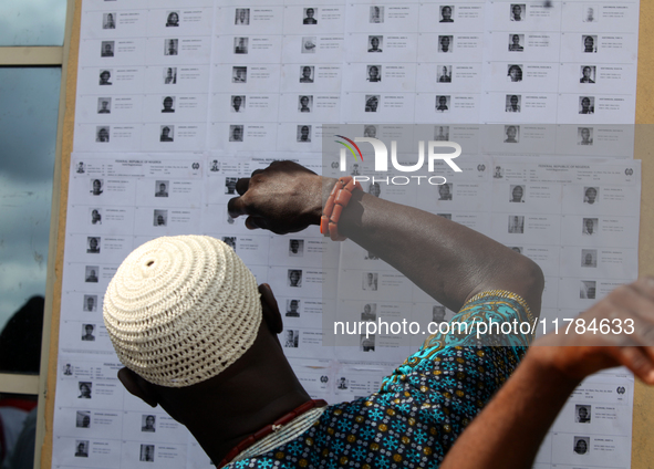 A traditional chief checks his name on voters' lists during the 2024 Governorship election for Ondo State in Obenla, Ilaje, Local Government...