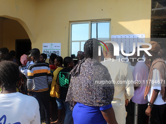 Voters queue during the 2024 Governorship election for Ondo State in Obenla, Ilaje, Local Government Area, Ondo State, Nigeria, on November...