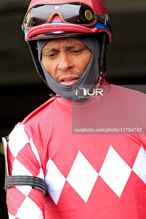 Jockey Patrick Husbands rides Gild the Lily out of the paddock ahead of the first race at Woodbine Racetrack in Toronto, Canada, on November...