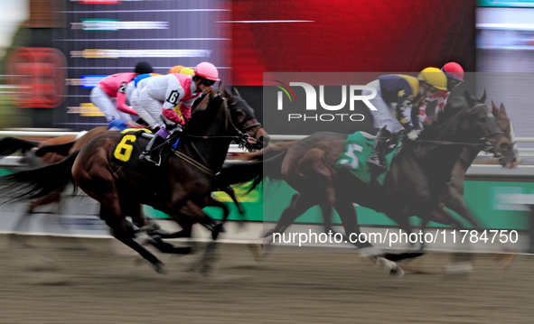 Jockey Daisuke Fukumoto rides Fortyfiveseventy (6) in the first race at Woodbine Racetrack in Toronto, Canada, on November 16, 2024. 