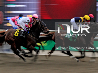 Jockey Daisuke Fukumoto rides Fortyfiveseventy (6) in the first race at Woodbine Racetrack in Toronto, Canada, on November 16, 2024. (