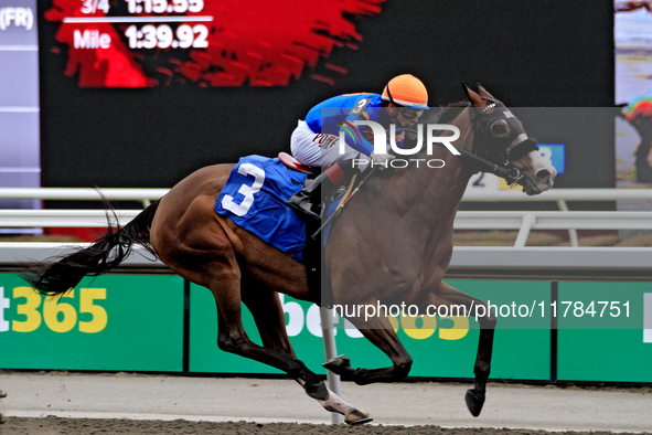 Jockey Rafael Hernandez rides Literate to a win in the first race at Woodbine Racetrack in Toronto, Canada, on November 16, 2024. 