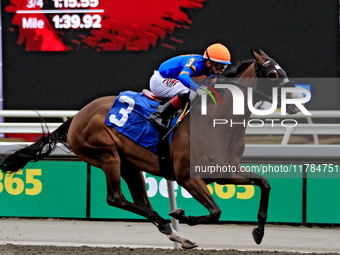 Jockey Rafael Hernandez rides Literate to a win in the first race at Woodbine Racetrack in Toronto, Canada, on November 16, 2024. (