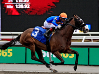 Jockey Rafael Hernandez rides Literate to a win in the first race at Woodbine Racetrack in Toronto, Canada, on November 16, 2024. (