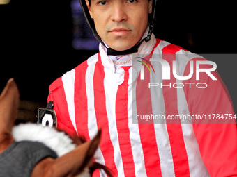 Jockey Eswan Flores rides Kantbackoff out of the paddock for the second race at Woodbine Racetrack in Toronto, Canada, on November 16, 2024....