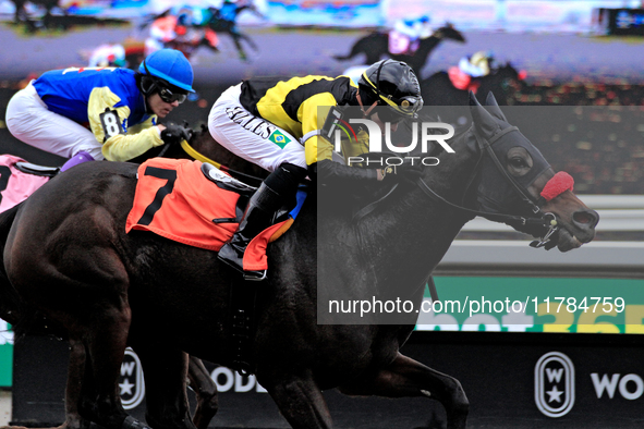 Jockey Leo Salles rides Emerald Lake to a win in the second race at Woodbine Racetrack in Toronto, Canada, on November 16, 2024. 