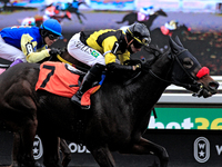 Jockey Leo Salles rides Emerald Lake to a win in the second race at Woodbine Racetrack in Toronto, Canada, on November 16, 2024. (