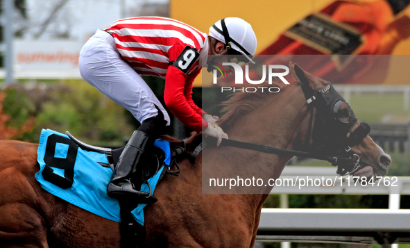 Jockey Sahin Civaci rides Exchange Day to a win in the third race at Woodbine Racetrack in Toronto, Canada, on November 16, 2024. 