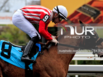 Jockey Sahin Civaci rides Exchange Day to a win in the third race at Woodbine Racetrack in Toronto, Canada, on November 16, 2024. (