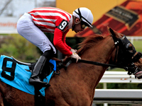 Jockey Sahin Civaci rides Exchange Day to a win in the third race at Woodbine Racetrack in Toronto, Canada, on November 16, 2024. (