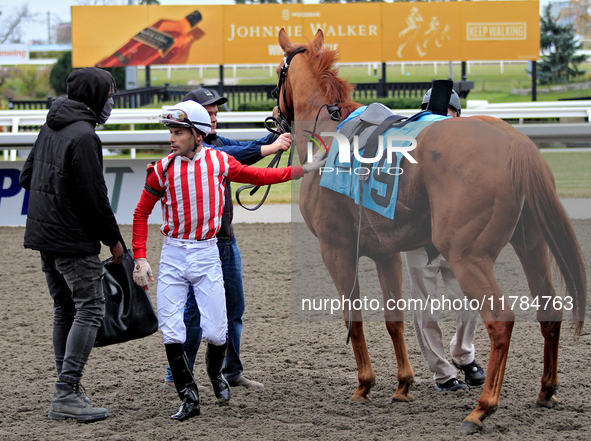 Jockey Sahin Civaci dismounts Exchange Day after a win in the third race at Woodbine Racetrack in Toronto, Canada, on November 16, 2024. 