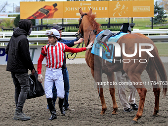 Jockey Sahin Civaci dismounts Exchange Day after a win in the third race at Woodbine Racetrack in Toronto, Canada, on November 16, 2024. (