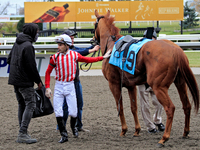 Jockey Sahin Civaci dismounts Exchange Day after a win in the third race at Woodbine Racetrack in Toronto, Canada, on November 16, 2024. (