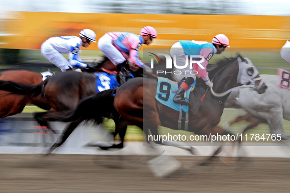 Jockey Ryan Munger rides Fan Club (9) past the grandstand at the beginning of the fourth race at Woodbine Racetrack in Toronto, Canada, on N...