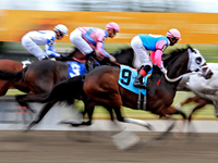 Jockey Ryan Munger rides Fan Club (9) past the grandstand at the beginning of the fourth race at Woodbine Racetrack in Toronto, Canada, on N...